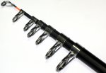 Телескопический спиннинг JINTAI "BOLOTIN" Telespin 270 (30-60гр)